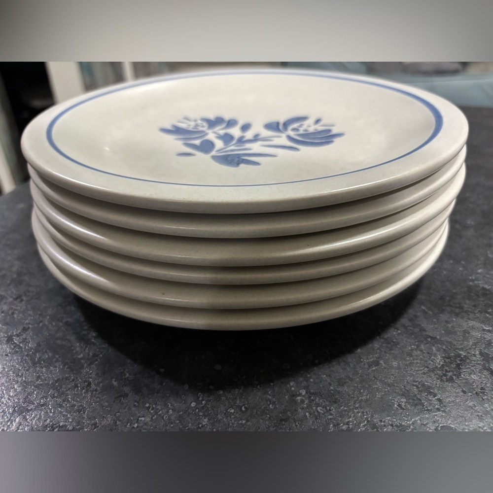Set of 6 vintage Pfaltzgraff Yorktowne 10” dinner plates